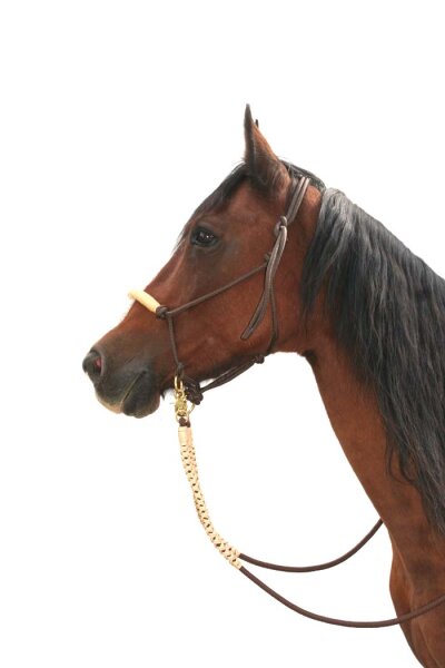 CG HEUNETZE knotted noseband Flavour brown (nose piece beige) warmblood