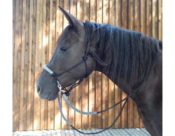 CG HEUNETZE knotted noseband Flavour black (nose piece silver gray) VB