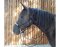 CG HEUNETZE knotted noseband Flavour black (nose piece silver gray) VB