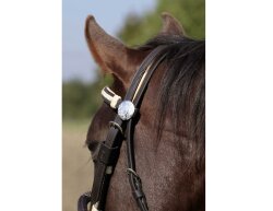 BAREFOOT headstall Oaktlet with genuine rawhide VB/WB