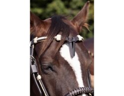 BAREFOOT headstall Oaktlet with genuine rawhide VB/WB