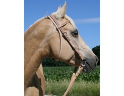 BAREFOOT headstall punched brown