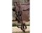 BAREFOOT headstall punched brown