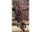 BAREFOOT headstall punched natural