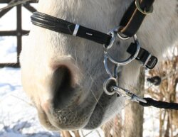 BAREFOOT Bitless Bit VB/WB-Hackamore 2teilig