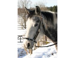 BAREFOOT Bitless Bit VB/WB-Hackamore 2teilig