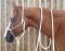BROCKAMP Horse Man knotted halter white blue pony