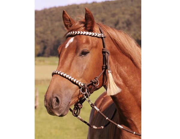 BAREFOOT Seneca Headstall or Knotted Halter Cob/VB 1