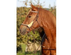 BAREFOOT Seneca Headstall or Knotted Halter WB/Full 2