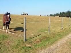 HANIT round post with stable reinforcement made of recycled plastic 2m L 80cm thick grey