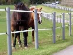 HANIT round post with stable reinforcement made of recycled plastic 2m L 80cm thick grey