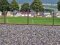 HANIT round post with stable reinforcement made of recycled plastic 2m L 80cm thick grey