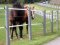HANIT round post with stable reinforcement made of recycled plastic 2m L 80cm thick grey