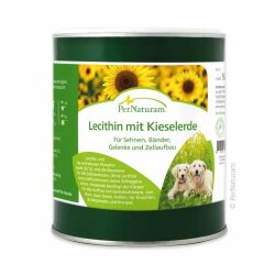 Lecithin with silica for dogs