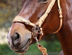 BAREFOOT Noseband medium black