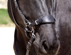 BAREFOOT Noseband medium black