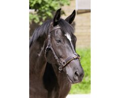 BAREFOOT Shape-It Cavesson Noseband 0 brown