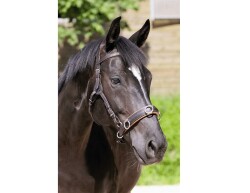 BAREFOOT Shape-It Cavesson Noseband 2 brown