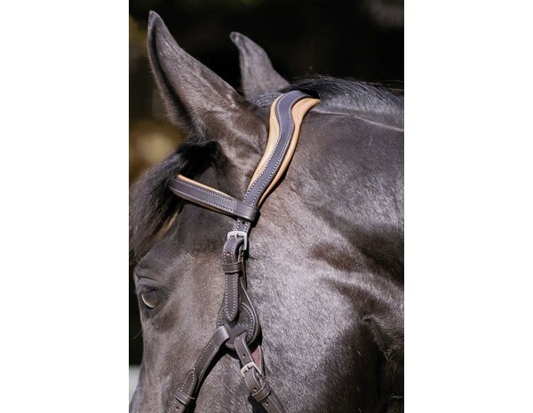 BAREFOOT Contour Physio Headstall Pony brown