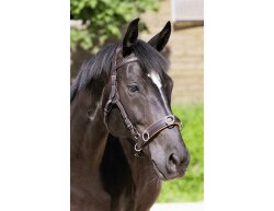 BAREFOOT Contour Physio headstall cob brown