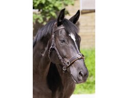 BAREFOOT Contour Physio Headpiece Extra Full brown