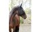 KERBL Fly Mask Full