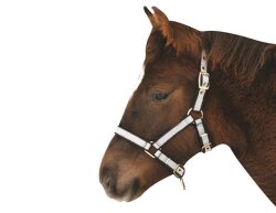 KERBL Exclusive foal halter / mini shetty halter 3-way adjustable silver