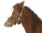 KERBL Exclusive foal halter / mini shetty halter 3-way adjustable silver