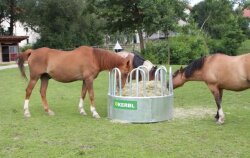 Round Rack with 8 Feeding Slots