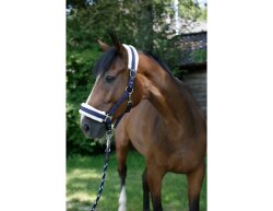 KERBL Halter Flauschi with Woven Fur Size 2 Thoroughbred Blue