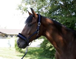 KERBL Halter Flauschi with Woven Fur Size 2 Thoroughbred Blue