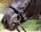 BAREFOOT Shape-It Noseband for Riding or Groundwork 2 black