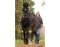 BAREFOOT long reins 8m