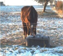 LA BUVETTE Thermolac 75 B frost-proof drinker without electricity