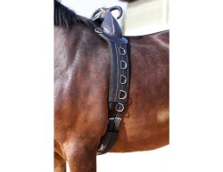 Barefoot® Lunging / Therapy Harness with Handle-Wide-Standard