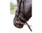 BAREFOOT bit straps brown