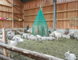 CG hay net for large round bales - mesh 30 mm incl. cord