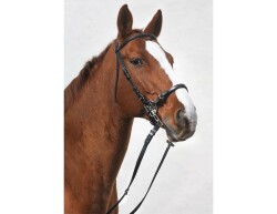 STARBRIDLE Shanks with Nose and Chin Strap Cob Oak Brown