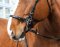 STARBRIDLE complete with headstall full oak brown