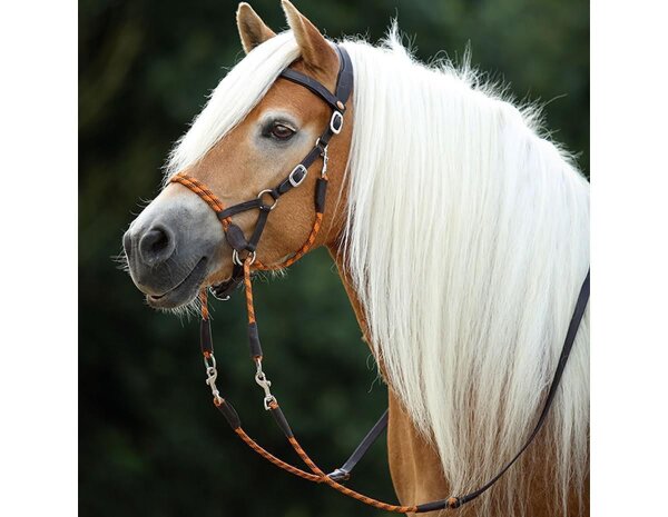 Sidepull Syringa incl. reins orange Full