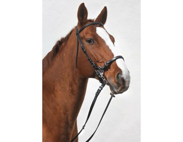 STARBRIDLE complete with headgear full black