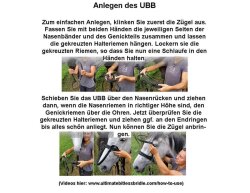 UBB Pro aus Biothane mit nur einem Nasenriemen VB/WB braun