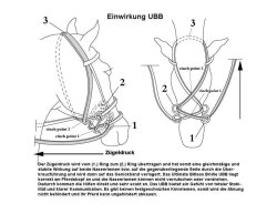 UBB Pro in biothane with only one noseband pony black