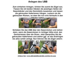 UBB Pro in biothane with only one noseband VB/WB black