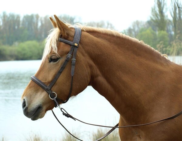 BAREFOOT Bitless Bridle Walnut (crossover function) WB/KB black