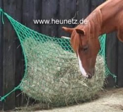 CG Haynet L small mesh M4,5 (1 m x 1,50 m) for ponys, donkeys, sheep, goat