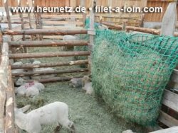 CG Haynet L small mesh M4,5 (1 m x 1,50 m) for ponys, donkeys, sheep, goat