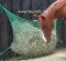 CG Haynet L small mesh M4,5 (1 m x 1,50 m) for ponys, donkeys, sheep, goat