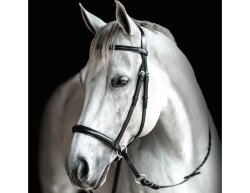 BITLESS BRIDLE Leder Pony Haselnuss