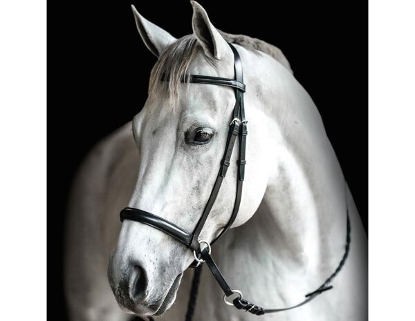 BITLESS BRIDLE Leather WB Hazelnut
